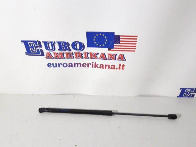 Variklio gaubto amortizatorius